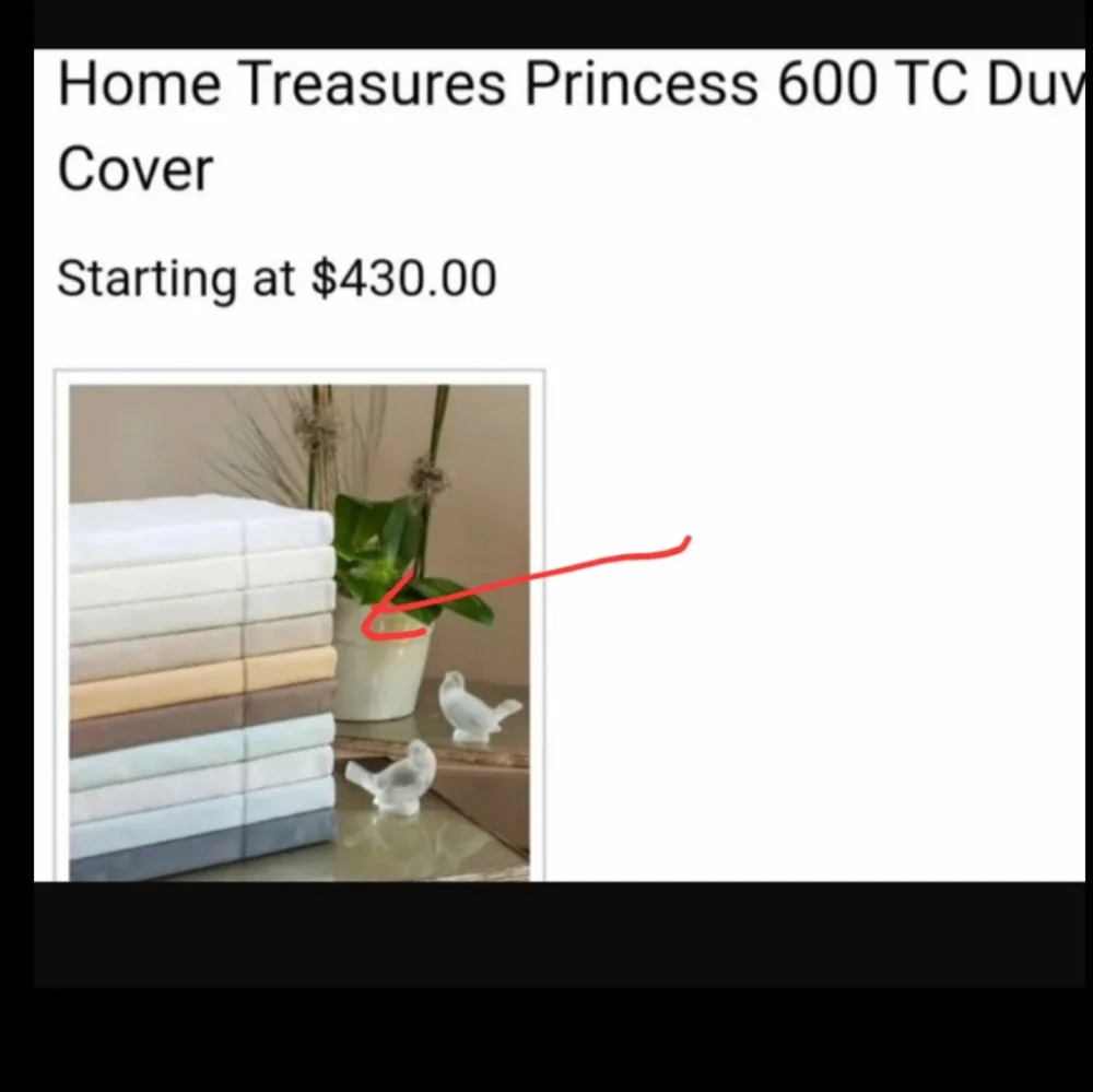 Nwot Home Treasures luxury duvet Egyptian 600tc Italian sateen Firm price
